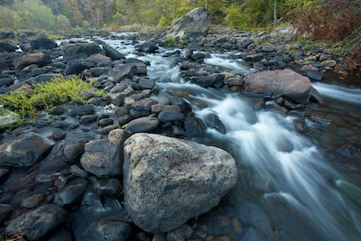 Image #20101030-93