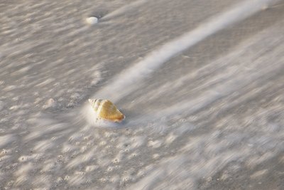 Wave sweeping over seashell Image #20120227-85