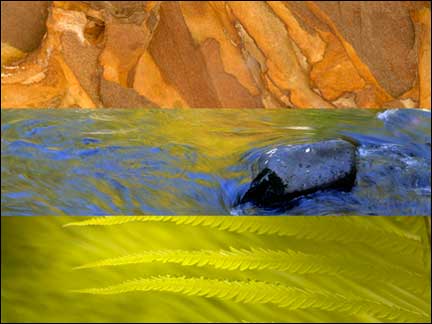 Fine Art Nature and Abstract Photography by  Byron Jorjorian Photography - Click to Enter