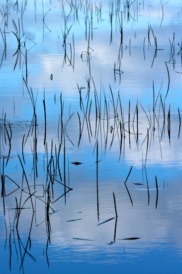 Abstract;Abstractions;Blue;Cloud;Cloud Formation;Clouds;Grass;Mississippi;Patterns;Reflection;Reflections;Shapes;Silhouette;Sky;Textures;Weather;White;Yazoo National Wildlife Refuge