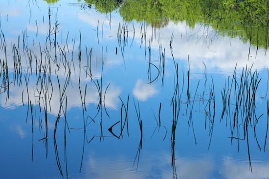 Abstract;Abstractions;Blue;Cloud;Cloud Formation;Clouds;Grass;Mississippi;Patterns;Reflection;Reflections;Shapes;Silhouette;Sky;Textures;Weather;White;Yazoo National Wildlife Refuge