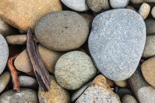 Abstract;Abstraction;Boulder;Brown;Calm;Close-up;Driftwood;Earthy;Geological;Geology;Healing;Health care;Healthcare;Line;Monochromatic;Natural;Ocean;Olympic National Park;Oval;Polished;Rock;Rock formations;Rocks;Ruby Beach;Shape;Speckled;Spotted;Stone;Stones;Tan;Taupe;Twigs;Uniform;Warm Colors;Warm Palette;Warm Tones;Washington;White;Worn;Yellow;beach;beaches;black;coast;coastline;color;concepts & emotions;cream;gray;grey;pattern;peaceful;restful;round;sea;serene;shore;shoreline;soothing;striation;texture;tranquil;yellow
