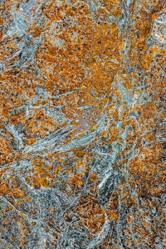 Abstract;Abstractions;Brown;California;Crescent City;Crevice;Gold;Lichens;Patterns;Pebble Beach;Stock categories;Tan;Textures;United States;Veins;White;Yellow;color;gray;green;shapes
