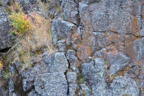 Patterns;Firehole Canyon;Grass;Boulder;Rock;Rocks;Firehole River;Plants;Striation;Green;Lichen;Geology;Wyoming;Yellowstone National Park;Rock Formations;Vegetation;Stone;Stones;Geological;Abstract;Textures