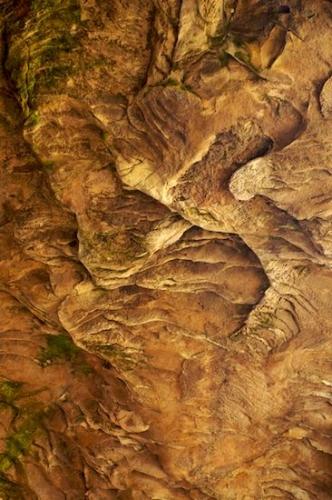 Striation;Shapes;Abstract;Rock Formations;Stone;Abstractions;Geology;Stones;Textures;Boulder;Patterns;Ataya Tract;Rocks;Geological;Cumberland Mountain;Rock;Tennessee