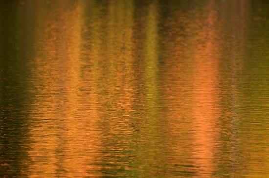 Abstract;Abstractions;Gold;Harriman State Park;New York;Orange;Patterns;Reflection;Reflections;Shapes;Textures;Yellow