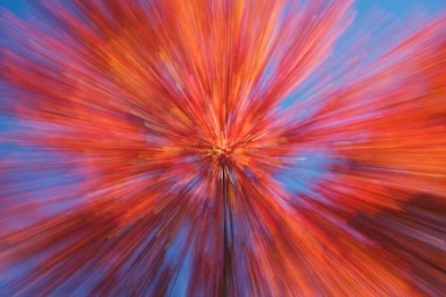Abstracts;Harriman State Park;Seasons;Fall;Looking up;Abstraction;Forest;Red;Sky;Swirl;Patterns;Abstract;New York;Autumn;Blue;Season;Trees