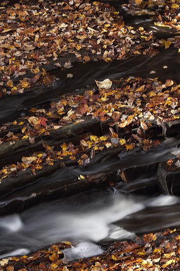 Waterfalls;Spilling;Falling;Chute;Falls;Cataract;Spray;Cascading;Cascade;Cool;Flow;Wet;Pouring;Flowing;Water;Waterfall;Textures;Shapes;Patterns;Abstractions;Abstract;Leaf;Leaves;Leafy;Foliage;Vein