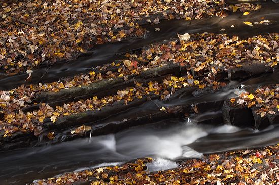 Waterfalls;Spilling;Falling;Chute;Falls;Cataract;Spray;Cascading;Cascade;Cool;Flow;Wet;Pouring;Flowing;Water;Waterfall;Textures;Shapes;Patterns;Abstractions;Abstract;Leaf;Leaves;Leafy;Foliage;Vein