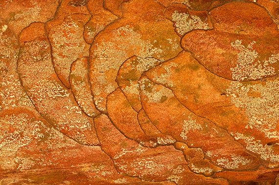 Abstract;Rock Formations;Rocks;Kentucky;Nature;Tennessee