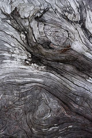 Abstract;Abstractions;Patterns;Shapes