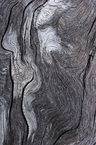 Abstract;Abstractions;Patterns;Shapes