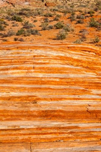 Abstract;Abstraction;Beige;Brown;Nevada;Rock;Rock formations;Rocks;Stock categories;Tan;Valley of Fire State Park;Warm Colors;Warm Palette;Warm Tones;Yellow;color;desert;pattern;red;yellow