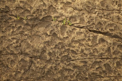 Cascading;Rock Face;Stone;Rock;Rocks;West Virginia;Sandstone Falls;Cascade;Abstraction;Rock Formations;Chute;Textures;Pouring;Patterns;Waterfall;Waterfalls;Streaming;Water;Falls;Geological;Abstracts;Abstract