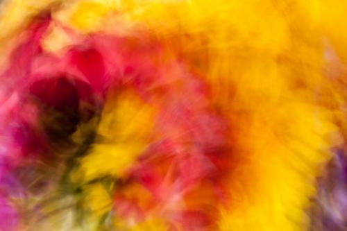 Abstract;Abstraction;Abstractions;Abstracts;Bloom;Blossom;Blossoms;Close-up;Flora;Flower;Floweret;Flowering;Flowers;Flowers & Plants;Gerbera daisy;Image type;Macro;Nature;Pattern;Patterns;Petal;Petals;Photo specs;Shape;Spring;Springtime;Stock categories;Textures;bloom;flora;floral