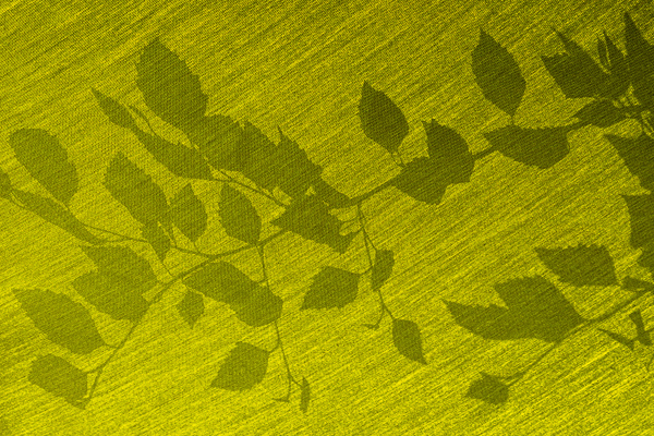 Abstract;Abstraction;Branches;Calm;Concepts;Contour;Cool Colors;Cool Palette;Cool Tones;Green;Greens;Healing;Health care;Healthcare;Leaves;Line;Minimalism;Nature;Oneness;Pastoral;Shadow;Shadows;Shape;Wabi Sabi;color;foliage;limbs;pattern;peaceful;plants;restful;serene;soothing;texture;tranquil;tree limbs;zen