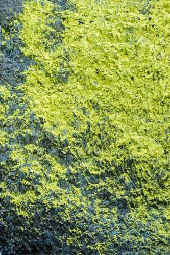 Abstract;Abstraction;Green;Latourell Falls;Oregon;Pattern;Rock;Rock Formations