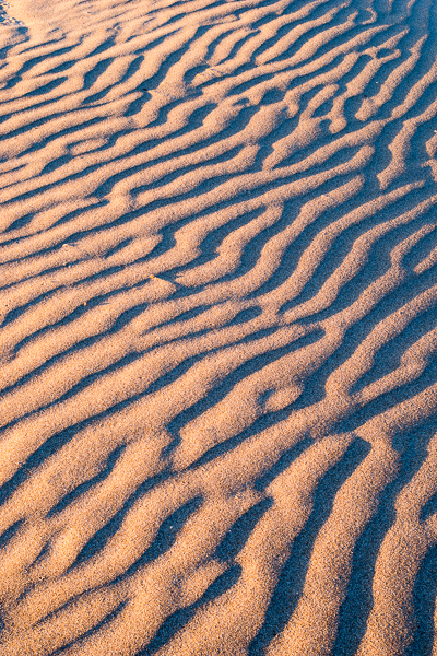 Abstract;Abstraction;Calm;Gold;Line;Nature;Oregon;Pastoral;Sand;Shape;Sunlight;Sunshine;Tan;Wabi Sabi;Waves;Yellow;landscape;oneness;pattern;peaceful;serene;soothing;sunlit;texture;tranquil;zen