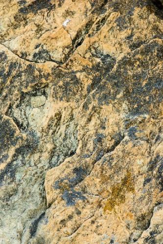 Abstract;Abstraction;Boulder;Boulders;Brown;Gray;Lichen;Line;Orange;Oregon;Rock;Rock Formations;Rocks;Stone;Texture;Yellow