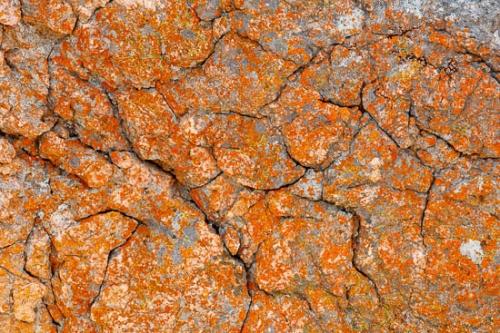 Abstract;Abstraction;Boulder;Close-up;Geological;Geology;Gray;Green;Healing;Lichen;Line;Modern;Nature;Oneness;Orange;Pastoral;Pattern;Peaceful;Red;Rock;Rock Formations;Rocks;Shape;Stone;Striation;Texture;Textures;Wabi Sabi;Yellow;calm;contemporary;contemporary art;modern art;restful;serene;soothing;tranquil;zen