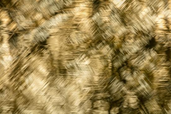 Abstract;Abstraction;Brown;Calm;Gold;Healing;Line;Modern;Pastoral;Shape;Tan;Yellow;contemporary;contemporary art;modern art;oneness;pattern;peaceful;reflection;reflections;restful;serene;soothing;texture;tranquil;zen