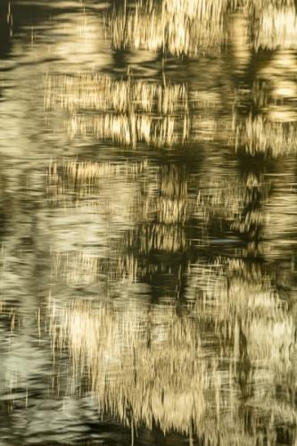 Abstract;Abstraction;Brown;Gold;Line;Shape;Tan;Yellow;oneness;pattern;peaceful;restful;serene;soothing;texture;tranquil