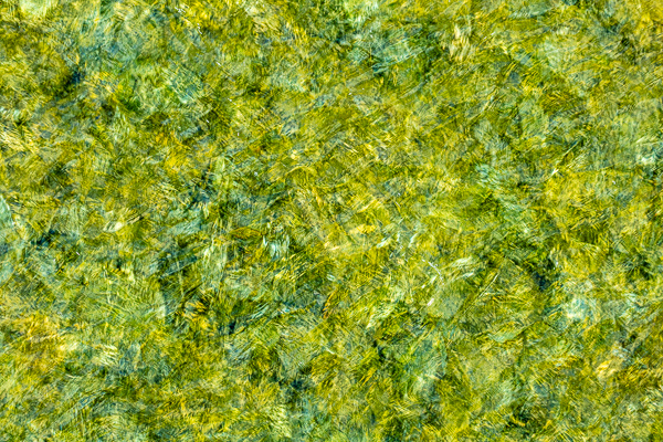 Abstract;Abstraction;Close-up;Gold;Healing;Line;Mirror;Modern;Pastoral;Ripple;River;Shape;Water;Waterscape;Yellow;contemporary;contemporary art;green;lake;modern art;oneness;pattern;peaceful;pool;reflection;reflections;restful;soothing;texture;tranquil;zen