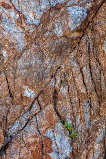 Abstract;Abstraction;Botanical;Boulder;Boulders;Brown;Calm;Close-up;Gold;Leaf;Line;Macro;Minimalism;Nature;Pastoral;Rock;Rock formations;Rocks;Rocky;Shape;Stone;Stones;Striated;Tan;Wabi Sabi;botanicals;green;oneness;orange;pattern;peaceful;plant;red;serene;soothing;striation;texture;tranquil;zen