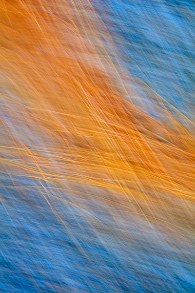 Abstract;Abstraction;Aqua;Blue;Calm;Close-up;Healing;Line;Looking up;Minimalism;Nature;Pastoral;Shape;Yellow;green;oneness;orange;pattern;peaceful;red;restful;serene;soothing;texture;tranquil;zen