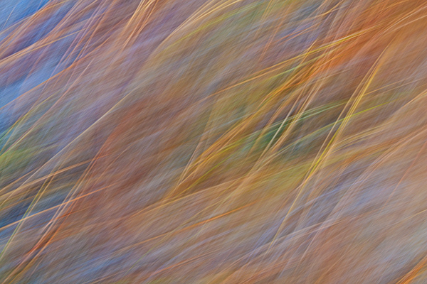 Abstract;Abstraction;Aqua;Blue;Calm;Close-up;Healing;Line;Looking up;Minimalism;Nature;Pastoral;Shape;Yellow;green;oneness;orange;pattern;peaceful;red;restful;serene;soothing;texture;tranquil;zen