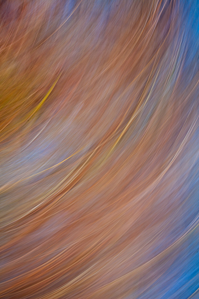 Abstract;Abstraction;Blue;Calm;Close-up;Healing;Line;Nature;Pastoral;Shape;Yellow;grass;oneness;orange;pattern;peaceful;restful;serene;soothing;texture;tranquil;zen