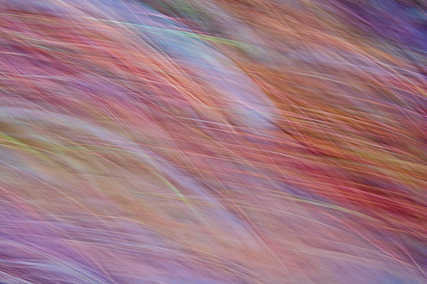 Abstract;Abstraction;Calm;Close-up;Healing;Line;Nature;Pastoral;Shape;Yellow;oneness;orange;pattern;peaceful;restful;serene;soothing;texture;tranquil;zen