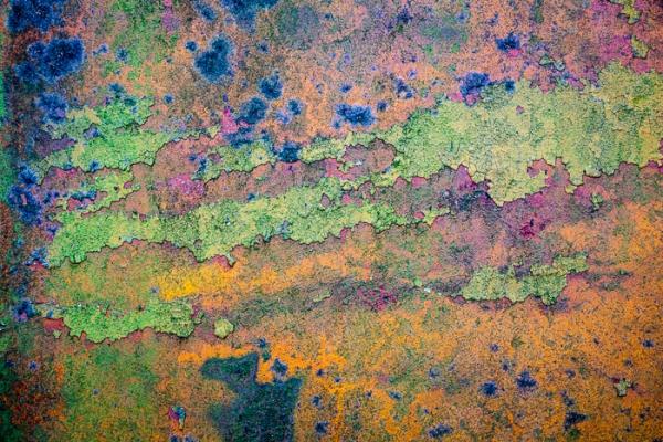 Abstract;Abstraction;Blue;Close-up;Cool Colors;Cool Palette;Cool Tones;Green;Greens;Modern;Pink;Purple;Violet;Wabi Sabi;Yellow;color;contemporary;contemporary art;industrial;magenta;modern art;paint;pattern;texture