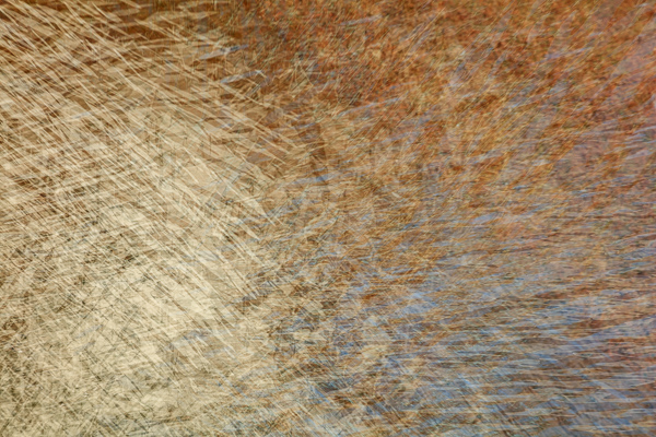 Abstract;Abstraction;Calm;Concepts;Flow;Gold;Line;Mirror;Nature;Oneness;Pastoral;Personal;Pool;Ripple;Shape;Water;Yellow;flowing;pattern;peaceful;reflection;reflections;restful;serene;soothing;texture;tranquil