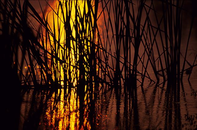 Abstract;Abstractions;Patterns;Shapes;Textures;Pool of Water;Reflections;Water;Oneness;Lake;Pond;Body of Water;Wet;Cool;Deep;Clear;Pool;Reservoir;Sunset;Dusk;Twilight;evening;Nightfall;Sundown;Grass