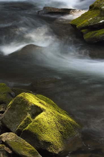 Striation;Stone;Rock;Boulder;Geology;Geological;Rock formations;Rocks;Brook;Creek;Rivulet;Streamlet;Stream;Waterfalls;Spilling;Falling;Chute;Falls;Cataract;Spray;Cascading;Cascade;Flow;Wet;Cool;Pouring;Flowing;Water;Waterfall;Rivers;River;Riverbed;waterway;stream;creek;brook