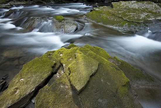 Striation;Stone;Rock;Boulder;Geology;Geological;Rock formations;Rocks;Brook;Creek;Rivulet;Streamlet;Stream;Waterfalls;Spilling;Falling;Chute;Falls;Cataract;Spray;Cascading;Cascade;Flow;Wet;Cool;Pouring;Flowing;Water;Waterfall