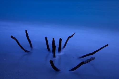 Bark;Beach;Beaches;Blue;Branch;Branches;close of day;dusk;evening;eventide;Florida;Herbaceous;last Light;Ocean;Plant;Reflection;Reflections;Sand;Sanibel Captiva Island;Sea;Shore;Shoreline;Sky;sun;sunset;Tree;Tree Trunk;Trees;Trunk;Water;Waves