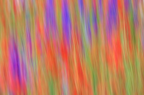 Abstract;Abstractions;Bloom;Blossom;Blossoms;Blue;Floret;Flower;Floweret;Flowering;Flowers;Green;Patterns;Petal;Petals;Pistel;Purple;Red;Shapes;Stamen;Textures