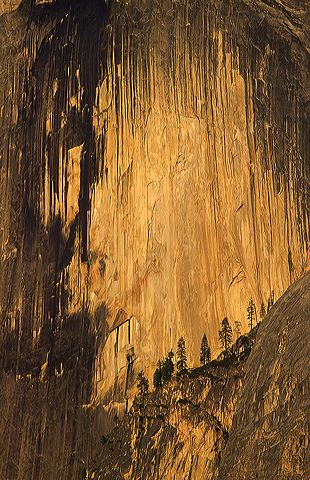 Ledge;Mountain;Cliff;Precipice;Peak;Mountain Top;Rock Formations;Rocks;Boulder;Nature;Vertical;High;Power;Powerful;Scenic View;Scenics;Summit;Tree Trunk;Trees;Bush;Shrub;Herbaceous;Woodland;Branch;Branches;Leafy;Bark;Trunk;Plant