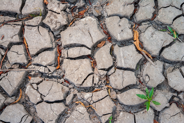 Abstract;Abstractions;Brook;Creek;Missouri;Mud;Mudflats;Patterns;River;River Bed;Riverbed;Riverlands Migratory Bird Sanctuary;Rivers;St. Louis;Stock categories;Stream;Textures;United States;Water;shapes;waterway