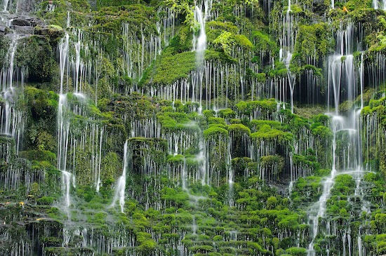 Abstract;Abstractions;Chute;Cool;Falling;Falls;Flow;Flowing;Green;Machine Falls;Moss;Mosses;Patterns;Shapes;Short Springs State Natural Area;Spilling;Stream;Tennessee;Textures;Tullahoma;Water;Waterfall;Waterfalls;Wet