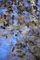 Abstract;Abstractions;Patterns;Shapes;Textures;Pool-of-Water;Reflections;Water;O