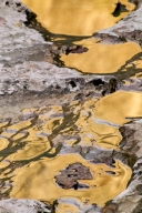 Abstract;Abstractions;Boulder;Brook;Creek;Geological;Geology;Gold;Patterns;Refle