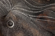 Ice;Icicles;Frozen;Freeze;Cold;Water;Winter;Abstract;Abstractions;Patterns;Shape