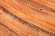 Valley-of-Fire-State-Park;Stone;Tan;Textures;Striations;Yellow;Geology;Red;Rock-