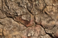 Rock;Cloudland-Canyon;Patterns;Rachel;Georgia;Textures;Rocks;Crack;Abstract;Brow