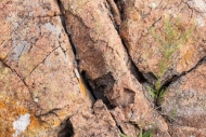 Abstract;Abstraction;Boulder;Boulders;Brown;Close-up;Geological;Geology;Grass;Gr