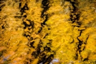 Abstract;Abstraction;Calm;Great-Smoky-Mountains;Great-Smoky-Mountains-National-P