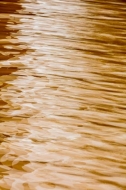 Abstract;Abstraction;Brown;Gold;Line;Mirror;Ripple;Shape;Tan;Warm-Colors;Warm-Pa